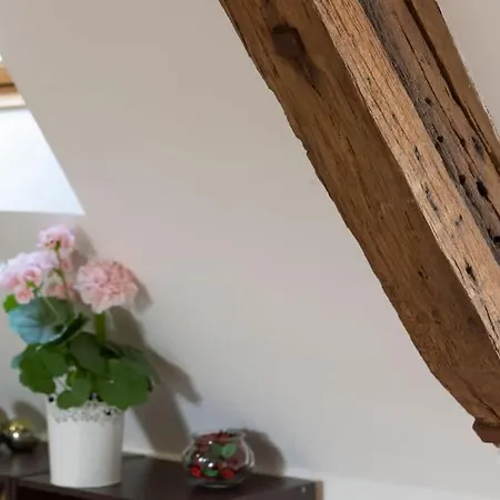 Apartment Le Ruellan Duplex Proche Saint-Malo